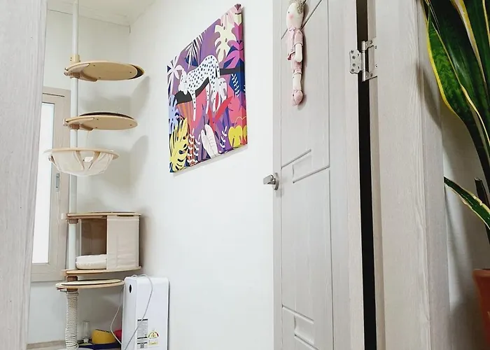 Dreaming Again Appartement