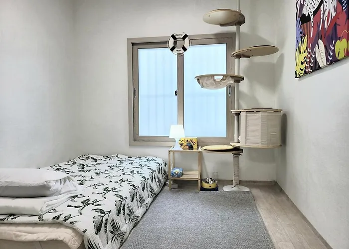 Dreaming Again Appartement