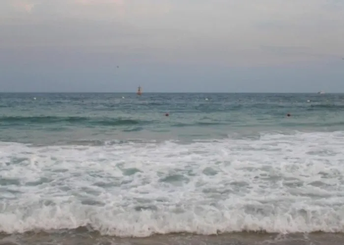 Dreaming Again Busan