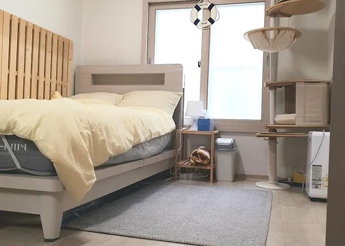 Dreaming Again Appartement